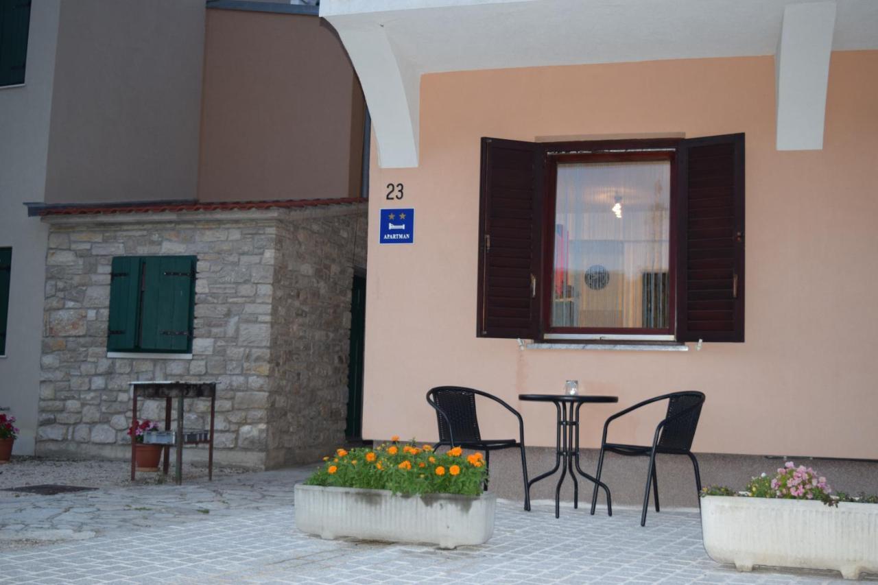 Apartman Nino Novigrad  Zewnętrze zdjęcie